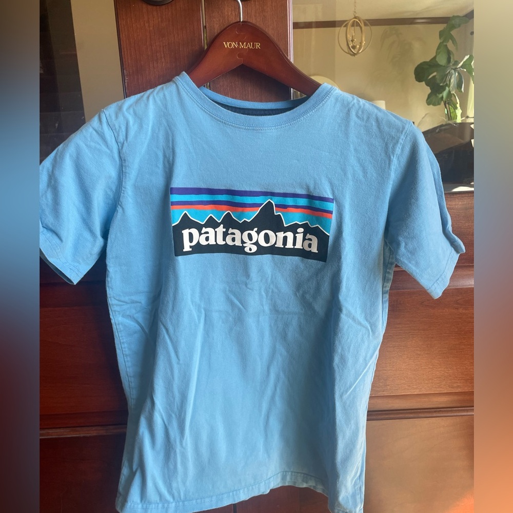 Patagonia Kids Light Blue Graphic Logo Tee